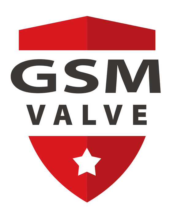 GSM Valve